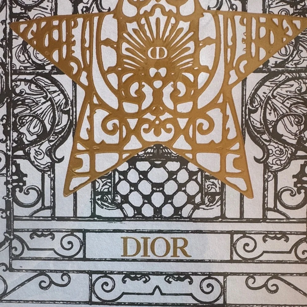 Dior Gold and Silver Star Notebook